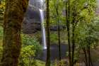 South Falls at Silver Falls State Park near Sublimity-Oregon-USA Art Print